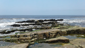 Playa La Herradura 8