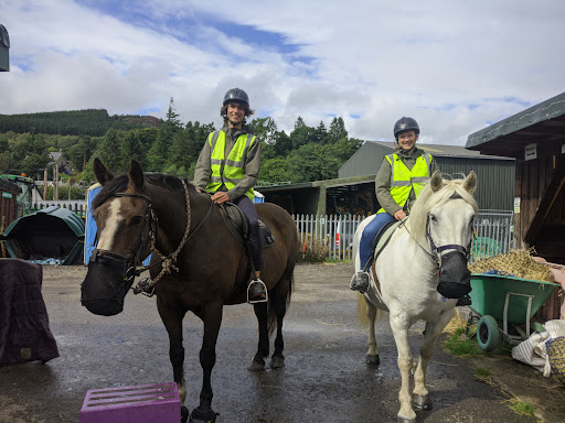 Highland Horse Fun
