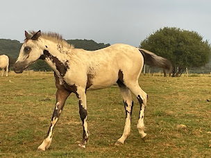 Photo n°5 de Réchou Jean-Christophe à Estampes (Ferme d'élevage)