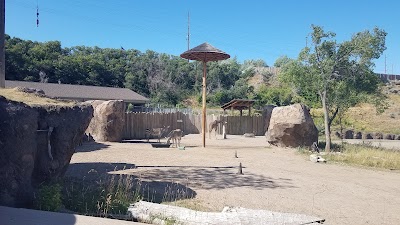 Elephant Encounter at Hogle Zoo