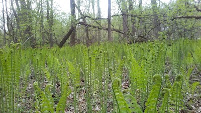 Woodside Natural Area