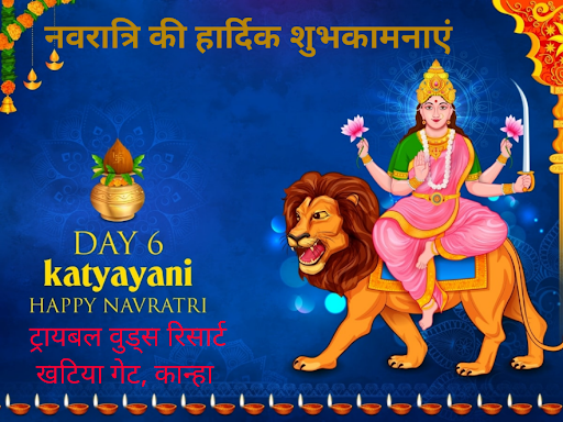 #hotelonkhatiyagate #tribalwoodskanha #besthotelinkanha #tribalwoodsresort #ResortInKanha post image