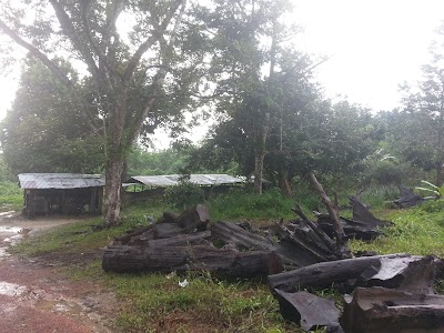 Photos of Meteor Garden Belitung