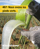 Francine Aloe & You à Escoulis