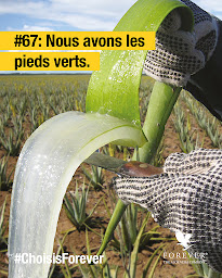 Photo n°1 de Francine Aloe & You à Escoulis (Centre de bien-être)