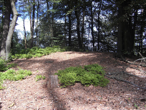 Hohe Hardt - Visual