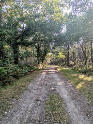 Photo n°14 de PAUSE BREIZH - Centre de jeûne en Bretagne à Erdeven (Centre de bien-être)