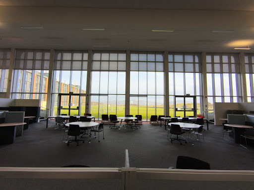Bay Library - Visual