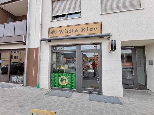 White Rice - Visual