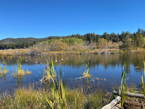 Lam Watah Nature Trail to Nevada Beach - Thumbnail