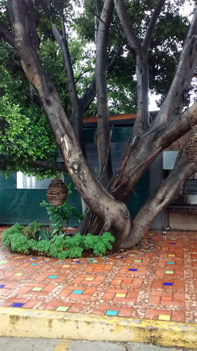 Boulevard Gastronomico Atlixco - Thumbnail