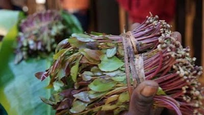 Photos of Miraa Market Maralal