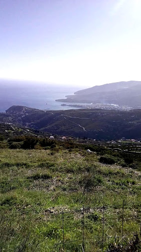 Dio Horia Residency