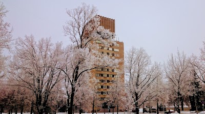 Photos of Pu&scaron;kini Alee