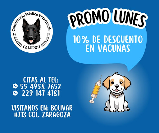 Consultorio Médico Veterinario Calupoh