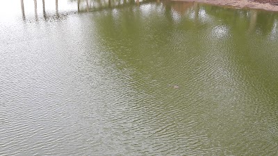 Photos of Kumana National Park entrance