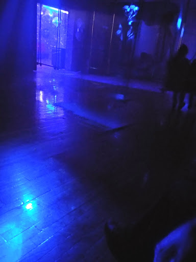 Circus Afterhours - Visual