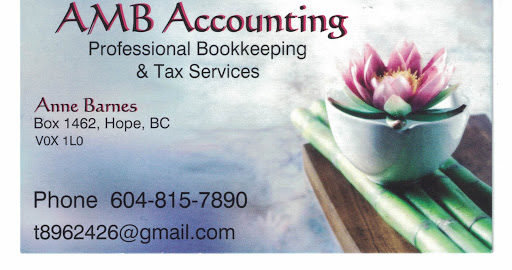 AMB Accounting