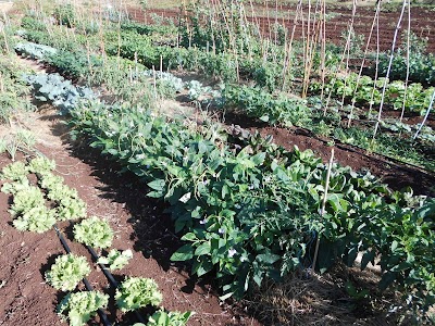 Photos of "Mont Rose" Organic Farm