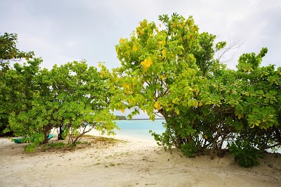 Photos of Bibee Maldives