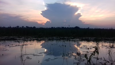 Photos of Neutigasa
