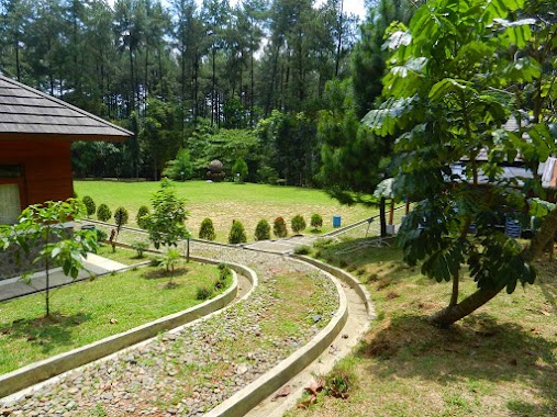 HUTAN PINUS ( Sentul eco edu tourism forest Office), Author: HELMY TANJUNG