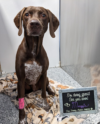 Fur Family Animal Hospital Gallery - United States