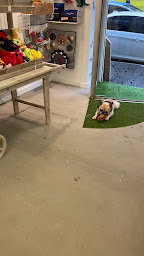 Photo n°2 de THE WOUF à Annecy (Magasin d'articles pour animaux)