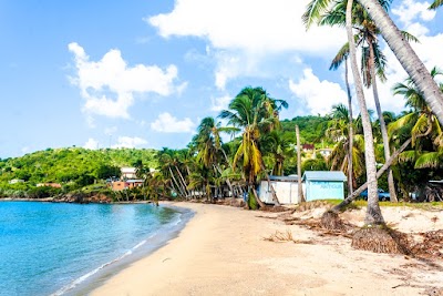 Photos of Carlisle Bay