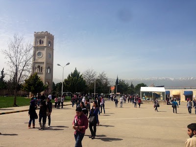 Photos of Lebanese International University (Khiara)