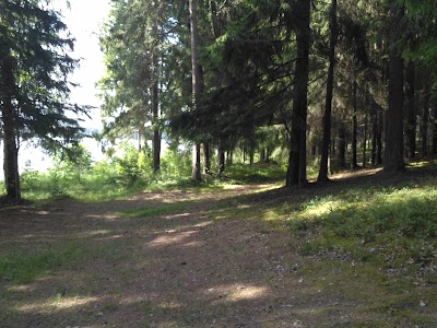Photos of Spāre