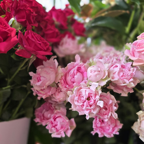 Ludwika Solskiego 26, 52-438 Wrocław