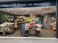 Odakyu OX Flower with Hibiya-Kadan Style 湘南台店