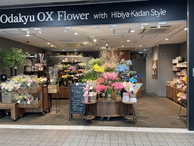 Odakyu OX Flower with Hibiya-Kadan Style 湘南台店