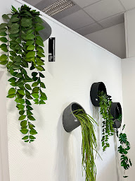 Photo n°14 de DBE85 Vente de SPA, SAUNA, MOBILIER et DECORATION en Vendée à Saint-Hilaire-de-Riez (Spa en extérieur)