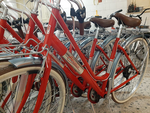 ALEbike - Visual