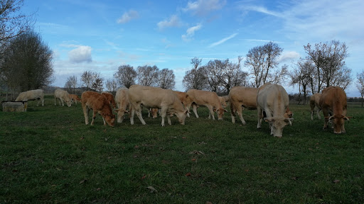 Photo de Ferme de Cabriole et Fromagerie de Cabriole à Saint-Félix-Lauragais (31540)