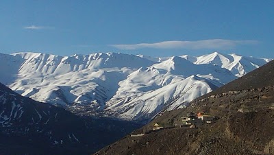 Photos of هتل آپارتمان گشتا