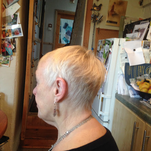 Vicky Tenoski Fenn Hair - Thumbnail