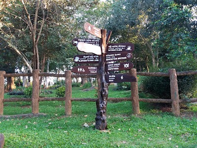 Photos of Pinnawala elephant orphanage park