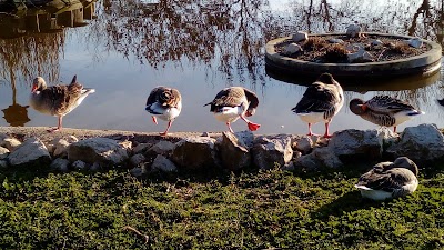 Photos of Parque Municipal