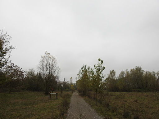 Parco del Serio Ghisalba - Thumbnail
