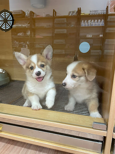 KH Pet House