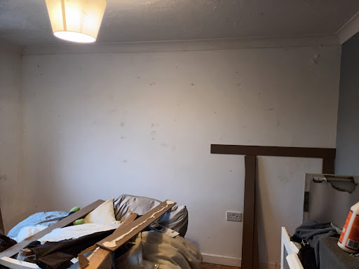 Painter katie - Visual