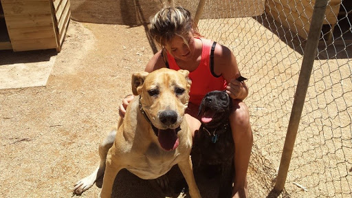 Riverland Boarding Kennels - Thumbnail