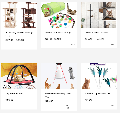 Everything Kitty Shop - Visual
