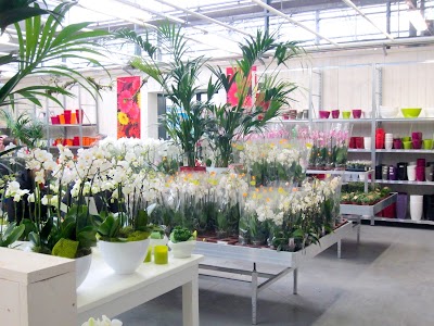 florist