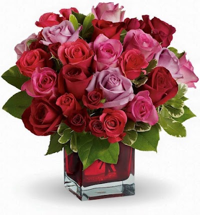 Photos of Lilac Flowers Shop