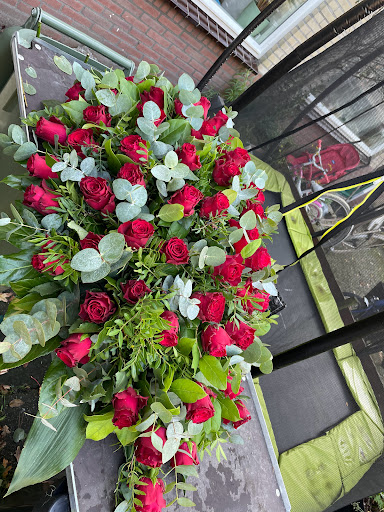 DG Flowers - Thumbnail