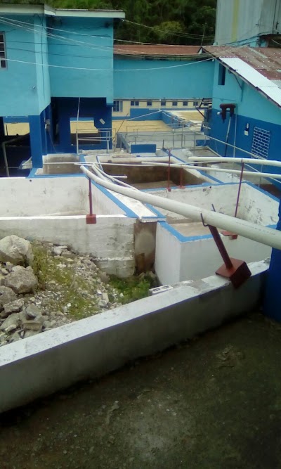 Photos of Mavis Bank Coffee Factory (Home of JABLUM)